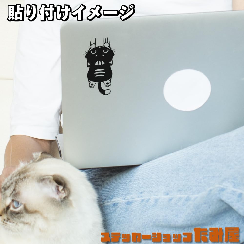 [Tamiya] Slipping Cat Aufkleber Farbe und Größe verfügbar Wetterfest