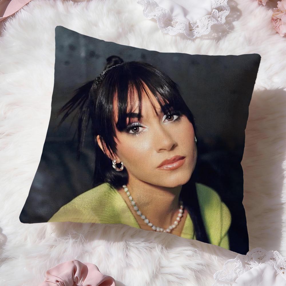 Singer A-AitanaS Cushion Cover Premium Comfort Reversible Pillow Cove -Two in One Design for Any Room & Car Interior