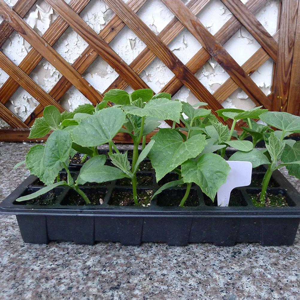 Gewächshaus Anzuchtschale 24 Zellen Anzuchtbox mit Deckel Pflanzen Anzuchtschalen für Anzucht Keimung