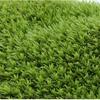 Leucobryum Glaucum Moss Box - Fresh/Dried Baby Moss for Indoor Landscapes & Walls