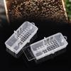 30pcs Bee Tools Bee King Transparent Cage Transport Queen Bee Cage Rearing Cage Cell Prisoner King Cage Beekeeping Supplies
