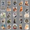 50pcs Maine cat graffiti stickers personalized cross-border cartoon cute cat decoration mobile phone luggage creative stickers