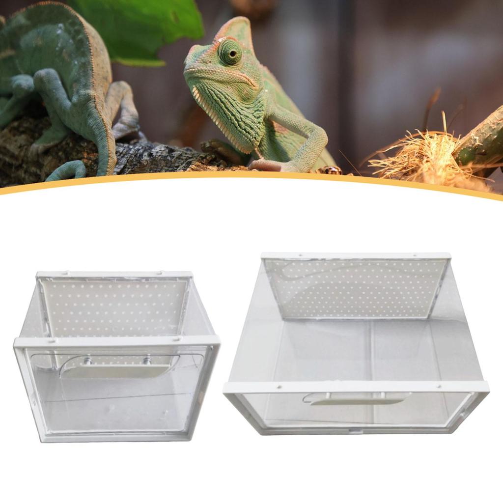 Reptile Terrarium Carrier Transparent Reptiles Cage,Reptile Breeding Box,for Crayfish