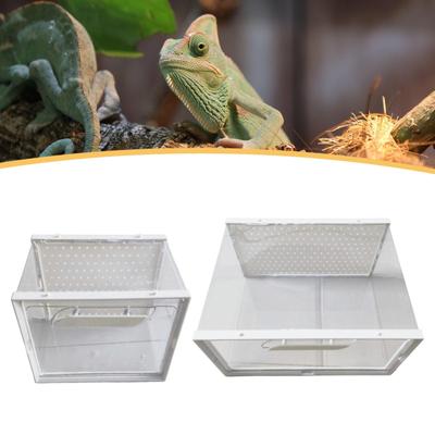 Reptile Terrarium Sturdy Transparent Reptiles Cage for Snake Turtle Tortoise