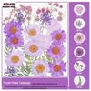 Handmade Pressed Flower Bookmark and Epoxy Sticker Pack with Real Leaf and Plant Specimens for DIY Face Makeup.