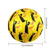 Messi 10 Number Argentina World Cup Champions Size 5 Soccer Ball Machine Sewn Indooroutdoor Universal Football Ideal For Soccer Enthusiasts