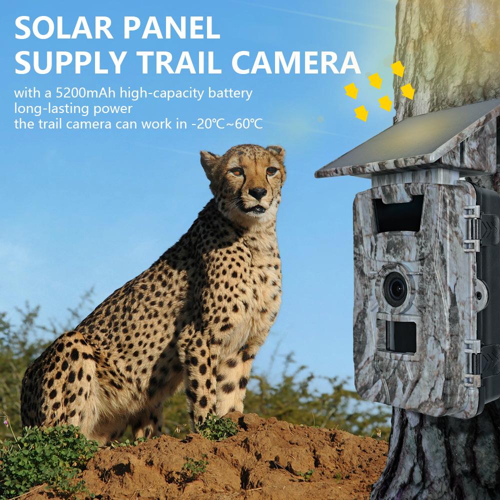 Solar-Powered HD WiFi Hunting Camera: Waterproof, Infrared, Motion Detection.
