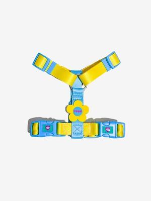 Perros – Collares y correas