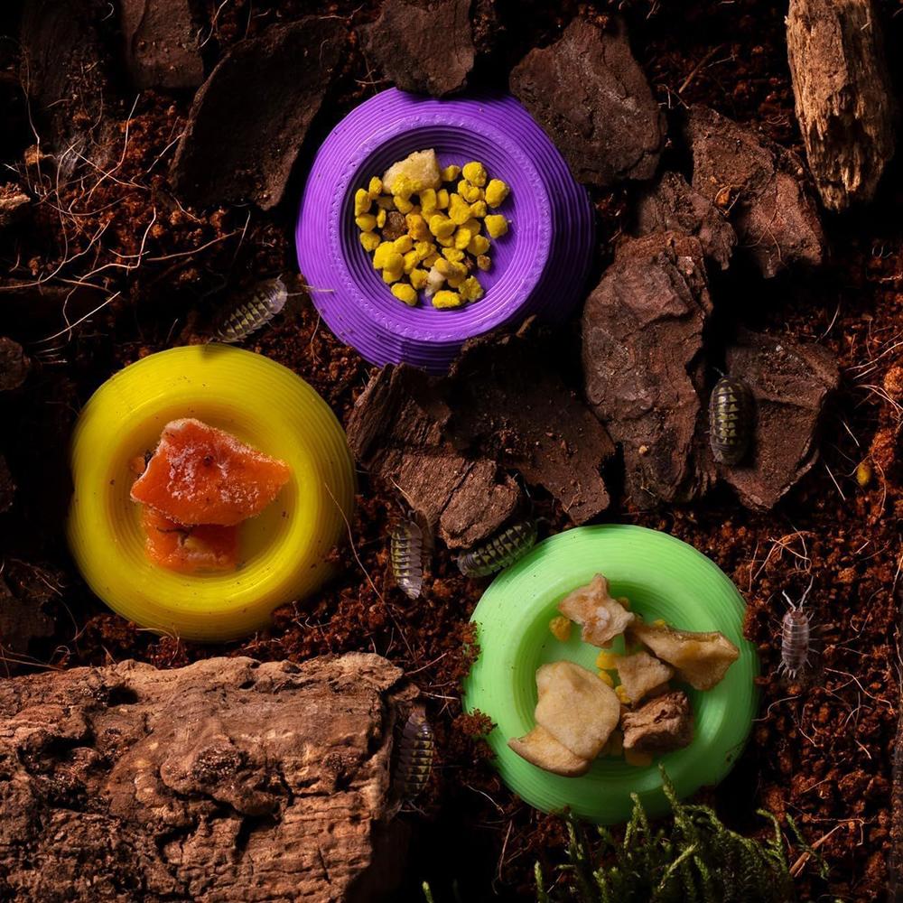 12pcs Isopods Feeder Bowls, Tiny Feeding Dish for Isopods, Springtails