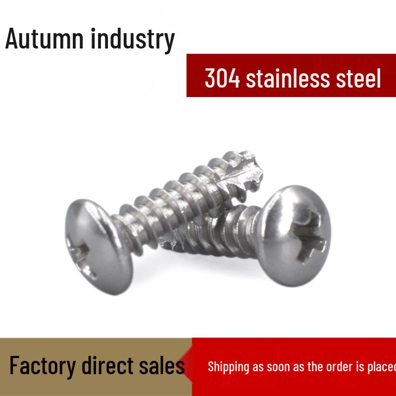 304 Stainless Steel Phillips and Flat Head Self-Tapping Screw Assortment: M2, M2.6, M3, M4