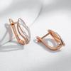 Fashion Glossy Hollow Leaves Dangle Earrings For Women  Rose Gold  Color Mix Fine Daily Vintage Jewelry