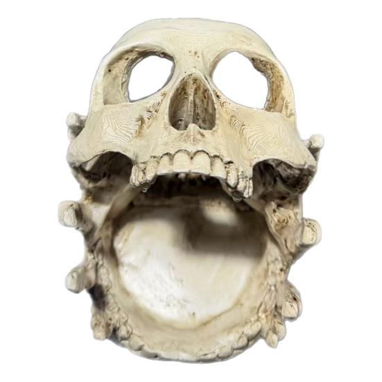 Resin Skull Shaped Jewelry Holder Gothic Skull Decorative Storage Holder