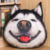 3D Creative Husky Plush Toy Pillow Doll Funny God and Annoyed Dog Head Valentine's Day Girl Birthday Gift