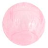 Small Pets Exercise Ball Dwarf Hamster Plastic Mute Running Spinner Play Toy for Junior Hedgehog Mini Gerbil 4 Colors