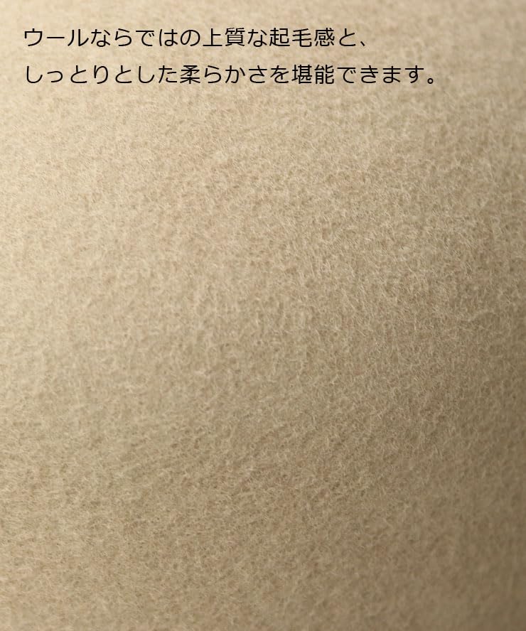 Regnuu Felt Bowler Derby Bowler Plus Camel Number Hat, 100% Wool, Unisex, Hat, Hat, Sizes, Fall/Winter, Black, Gray, (JP, Size, 58.5 Cm, Black)