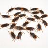 50Pcs Realistic Bugs Funny Toy Fake Cockroach Novelty Insects Halloween Prank Simulation Tricky Disgusting Scary Party Supplies