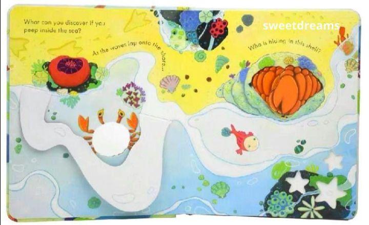 [USED] Usborne Peep Inside the Sea Pop-up Book