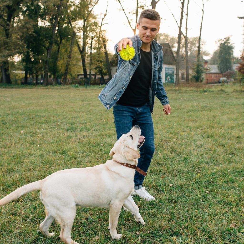 Squeezing Dog Toy Ball, a small dog teeth grinding toy, free of bisphenol A, non-toxic, spiky medium size, large and