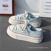 Women's Platform Canvas Shoes - Spring/Summer 2025 Korean Style Trendy White Board Shoes