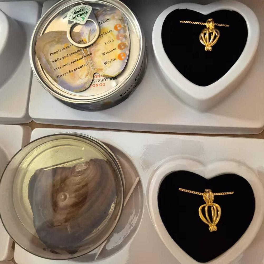 Wish Pearl Necklace Kit Innovative Chain Charm For Holiday Gift Diy Jewelry Making DIY Wish Pearl Necklace Kit