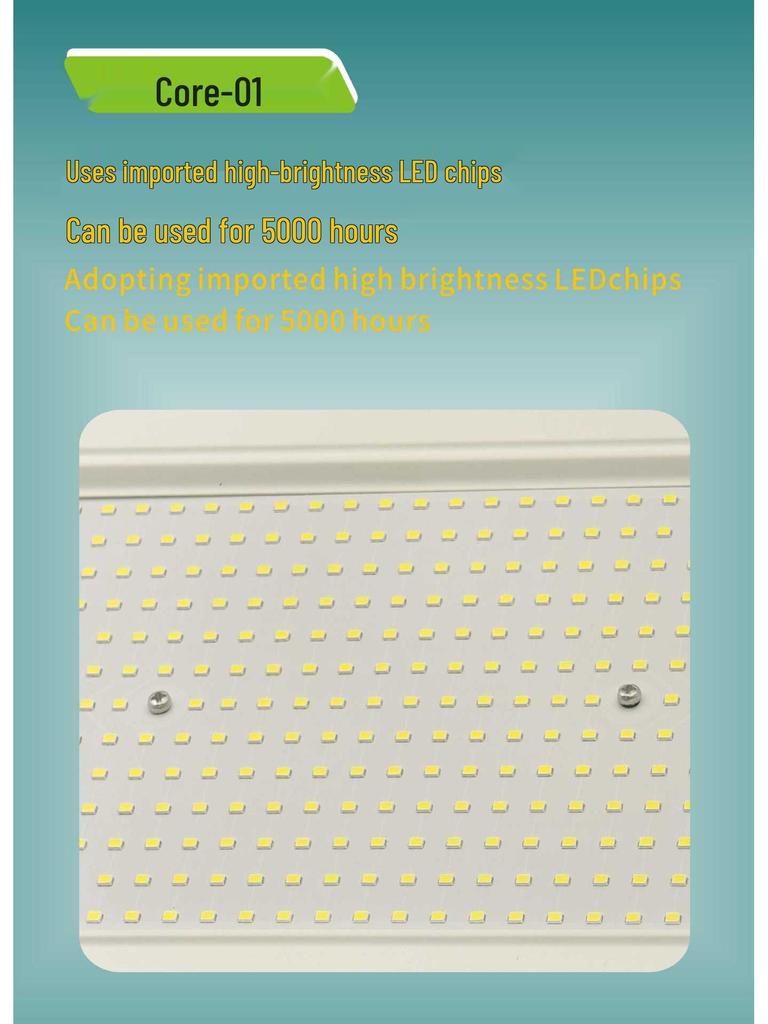 Remote-Control LED Floodlight with Human Body Induction, 110V Wide Voltage, for Outdoor Use in Europe and America