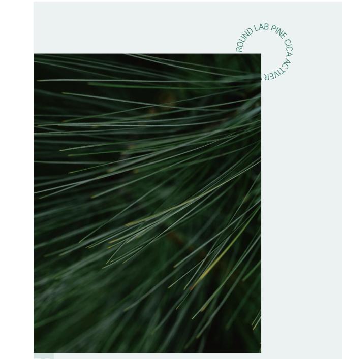 ROUND LAB Pine Cica Calming Scalp Tonic 100ml