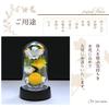 Art for Seasons Mini Mum Mini Dome Yellow Preserved Flowers