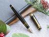 WANCHER Limited Edition SAILOR Original Professional Gear Champagne Dark Green 21K Gold Fountain Pen (Medium Nib)