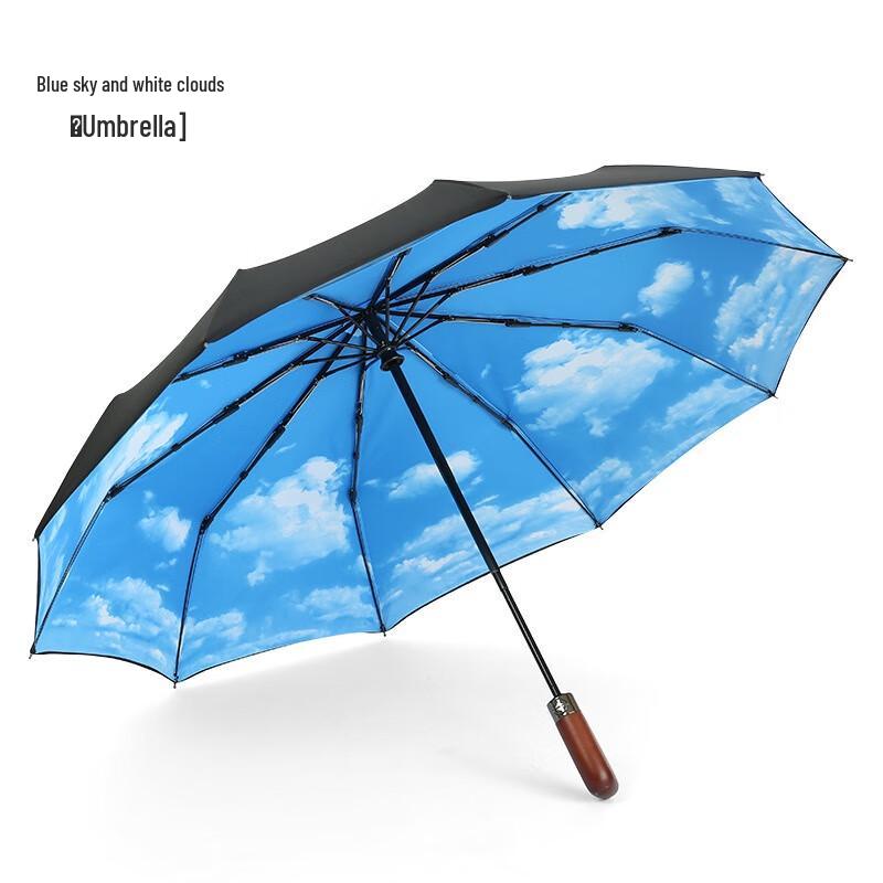 Zuoyou Automatic 10-Rib Double-Layer Business Umbrella