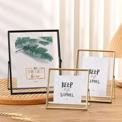 Multi-purpose 4/6/7/8/10 Inch Metal Photo Frame Gold Black Acrylic Screen Picture Holder Rectangle Photo Display Plant Specimen