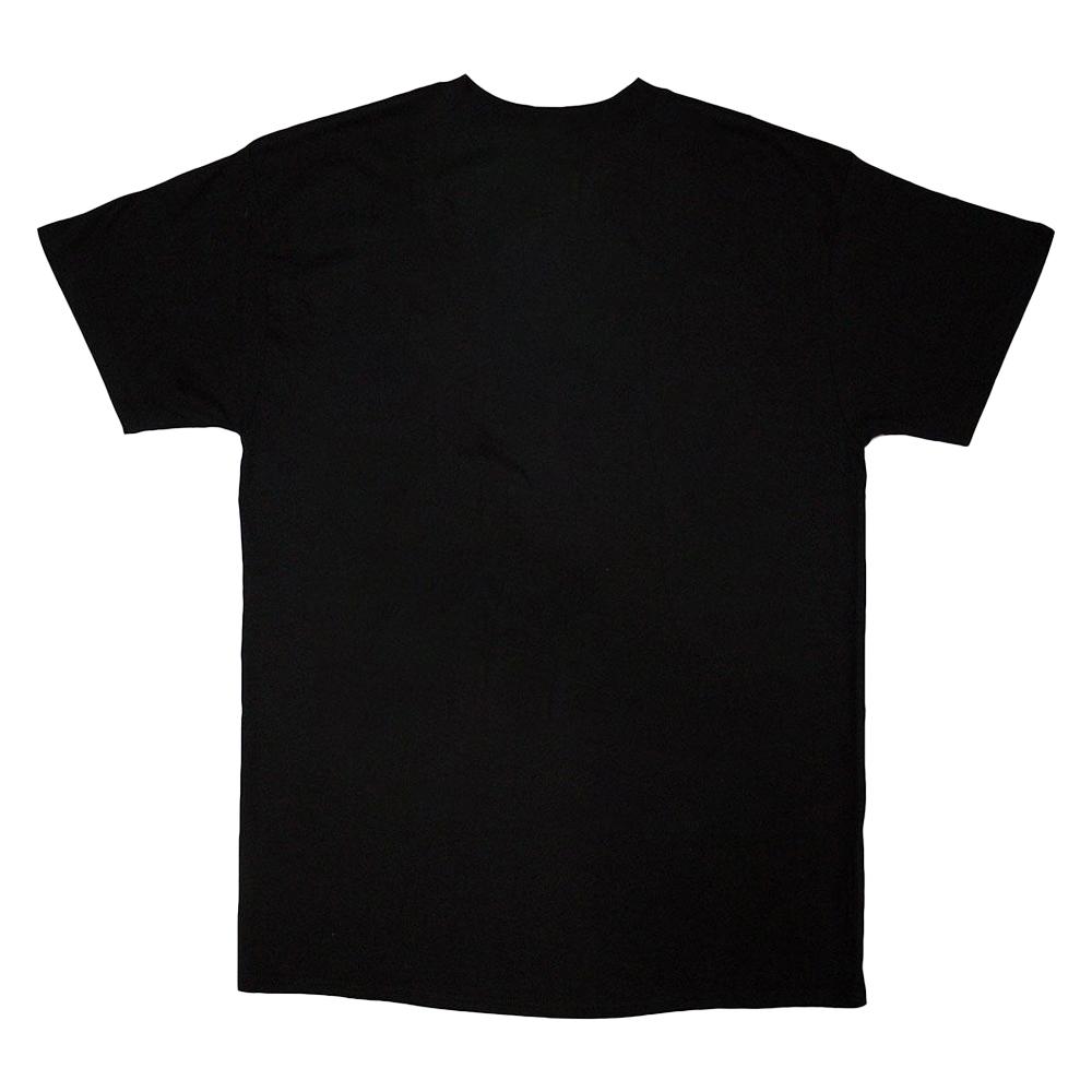Billie Eilish Unisex Adult Hit Me Hard And Soft Door Falling T-Shirt