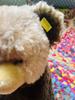 [USED] STEIFF/Vintage/Bear/Teddy Bear