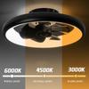 19.6 Inchs Household LED Lighting Electric Fan Electric Ceiling Fan Light Bedroom Strong Wind DC Ceiling Fan Lamp