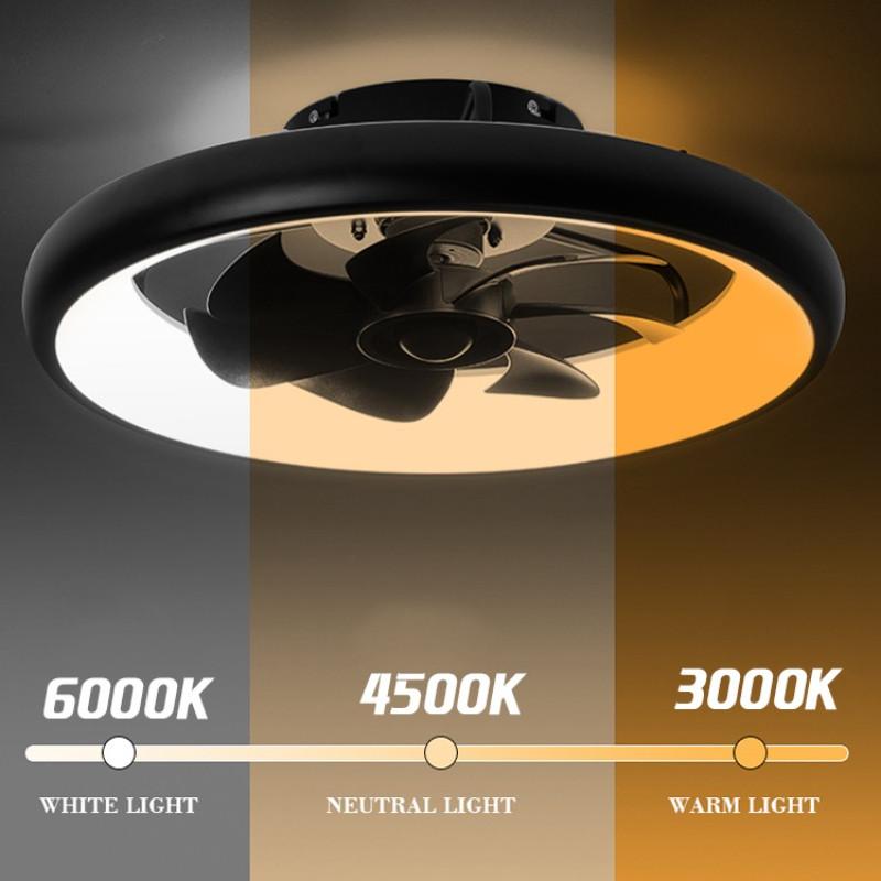 19.6 Inchs Household LED Lighting Electric Fan Electric Ceiling Fan Light Bedroom Strong Wind DC Ceiling Fan Lamp