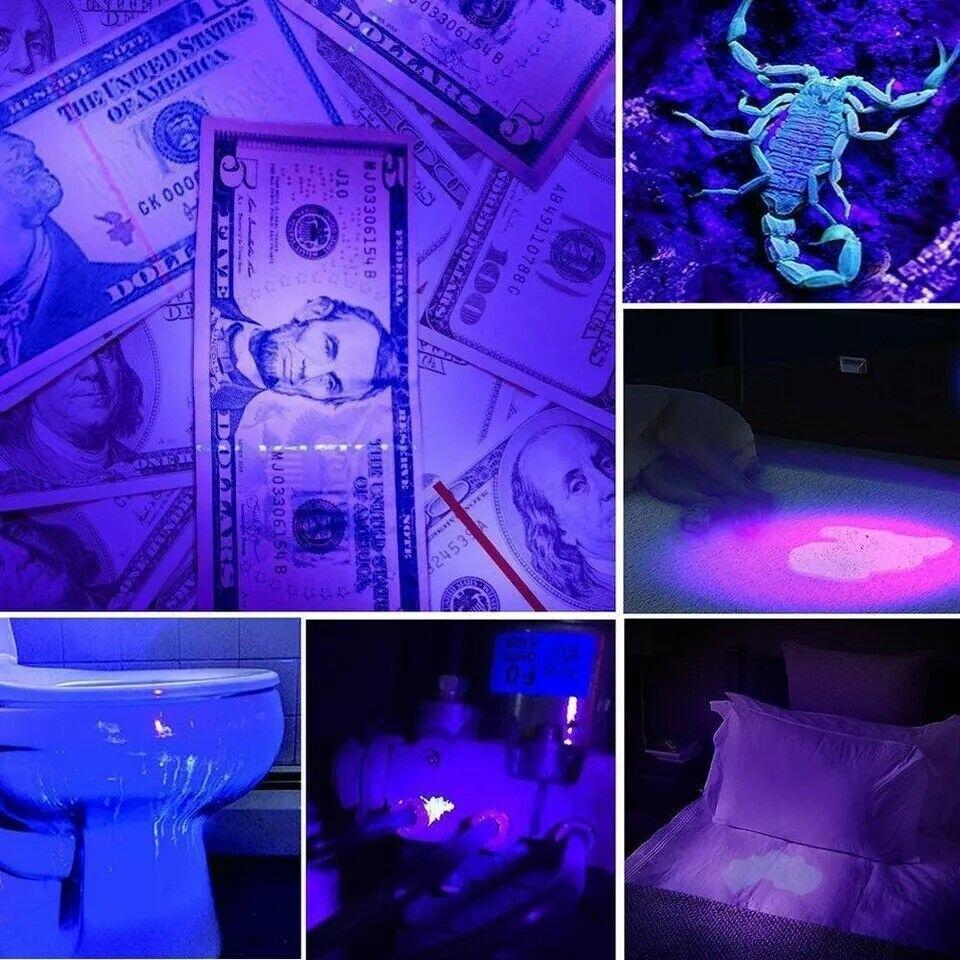 21 LED UV Ultraviolet Flashlight Black Light 395NM Mini Torch Light for Pet Urine Stains Portable Banknote T