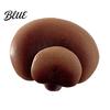 Decorative Fridge Magnets 3D Mushroom Refrigerator Magnet Resin Fake Small Memo Holders Photo Notes Holder for Whiteboard Cabinet Kitchen Aesthetic