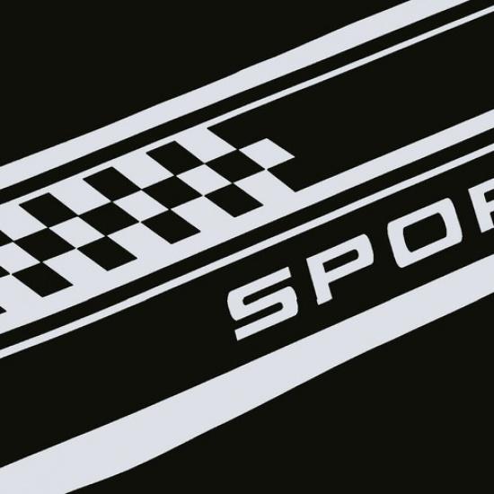 Pair Car Decal Racing Side Body Vinyl Trim Graphic Sticker Exterior Accessories