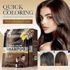 Shampoo Colorante per Capelli Grigi - Shampoo Colorante Naturale Zenzero Castano Chiaro per Colore a Lunga Durata in Minuti, 25ml x 10pz, Formato da Viaggio