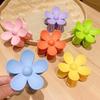Korean Style New Flower Hairpin Back Spoon Matte Ponytail Shark Clip Fashion Hairpin New Headdress
