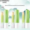 CHANDO Tea Extract Moisturizing Lip Balm