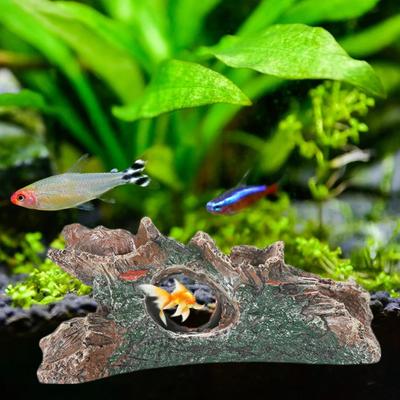 Fische & Meerestiere – Aquarien-Einrichtung