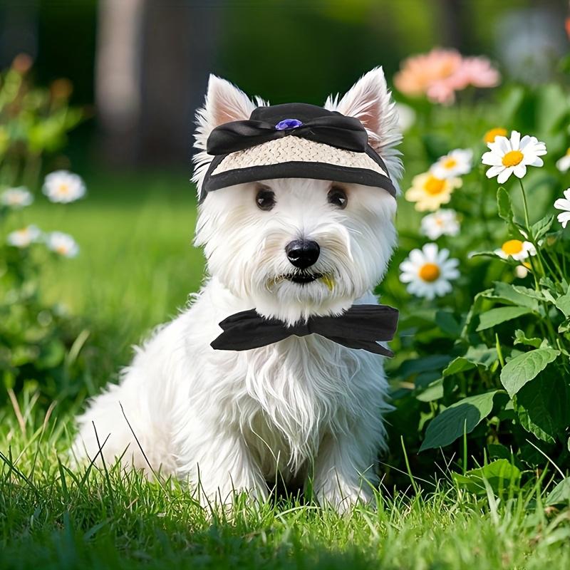 Adjustable Dog Cat Sun Hat Breathable Baseball Cap with Ear Holes for Puppies Outdoor Pet Headwear and Supplies