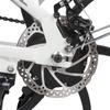 SAMEBIKE 20LVXD30 ელექტრო ველოსიპედი, 350 ვატი