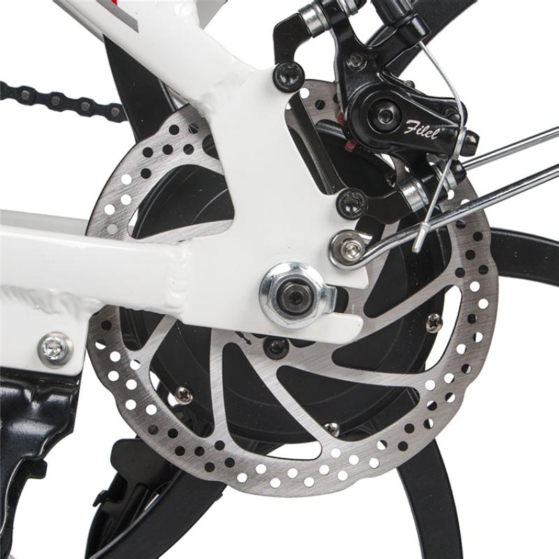 SAMEBIKE 20LVXD30 ელექტრო ველოსიპედი, 350 ვატი