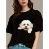 Cute Dog Print Short-sleeved T-shirt Casual and Versatile Style Suitable for Women's Summer Outings and Daily Wear