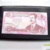 30-Page Premium Banknote and Coin Collection Album