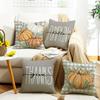 New Easter Harvest Pumpkin Element Car Cushion Cushion Bay Window Decorative Pillow Cover Linen