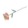 Long Stem Dipped 24k Gold Rose in Gift Box with Stand (White pink Rose with Stand)