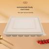 Eco-Friendly Corn Starch Biodegradable Dumpling Boxes