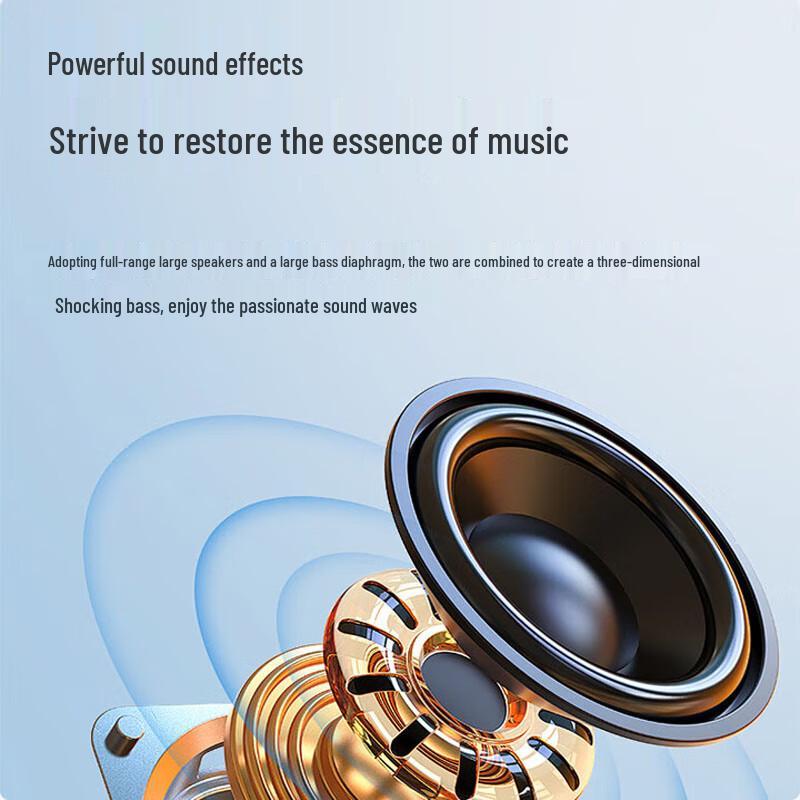 Huidu WK-12 Professional Stage PA Speaker